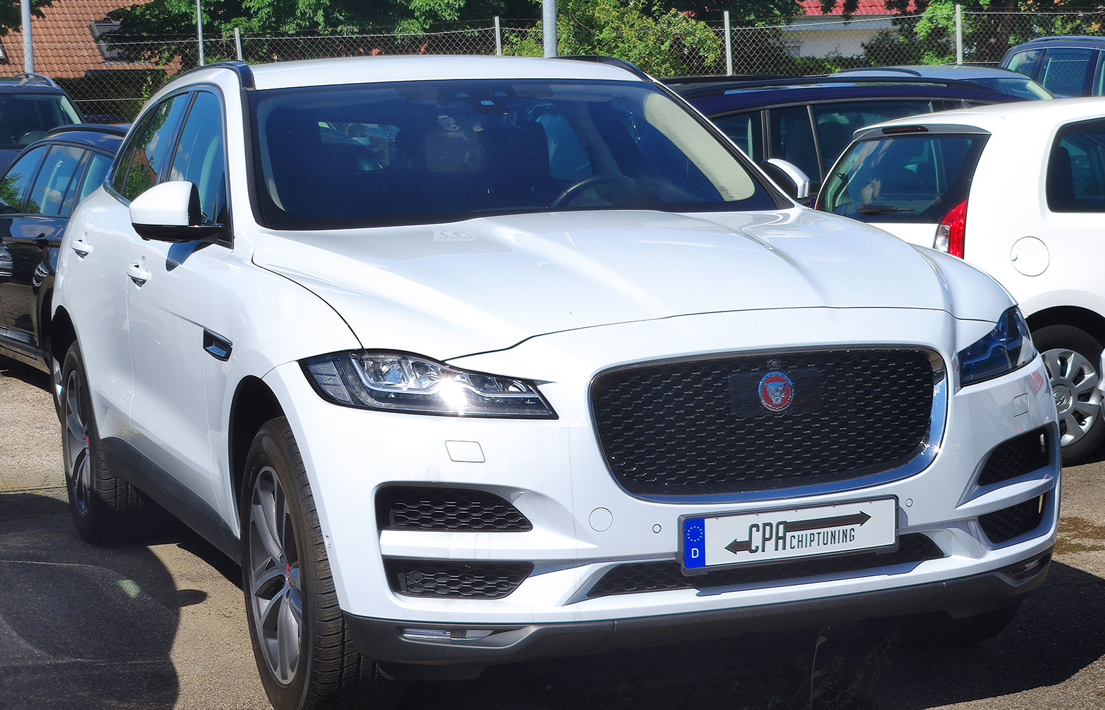 Der Jaguar F-Pace bei CPA im Test